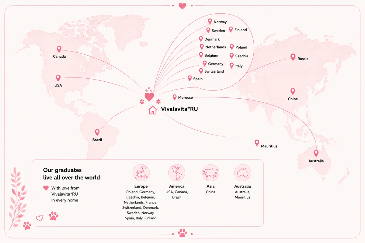 Map of countries where Vivalavita*RU graduates live